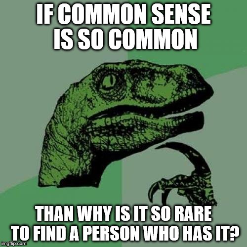 Philosoraptor Meme | IF COMMON SENSE IS SO COMMON THAN WHY IS IT SO RARE TO FIND A PERSON WHO HAS IT? | image tagged in memes,philosoraptor | made w/ Imgflip meme maker
