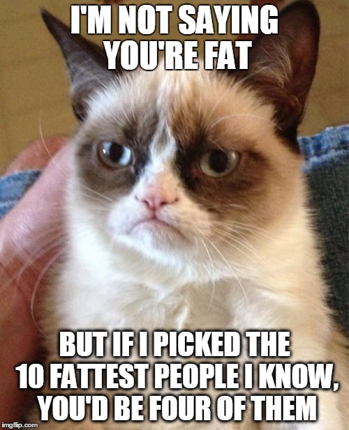 Grumpy Cat | I'M NOT SAYING YOU'RE FAT BUT IF I PICKED THE 10 FATTEST PEOPLE I KNOW, YOU'D BE FOUR OF THEM | image tagged in memes,grumpy cat,fat,yo mamas so fat,fat cat,funny | made w/ Imgflip meme maker