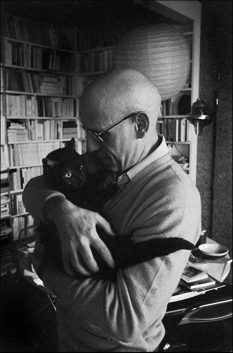 FocaultCat Blank Meme Template