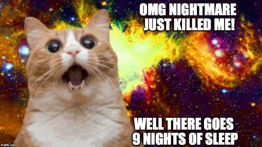 OMG NIGHTMARE JUST KILLED ME! WELL THERE GOES 9 NIGHTS OF SLEEP | image tagged in fnaf cat | made w/ Imgflip meme maker