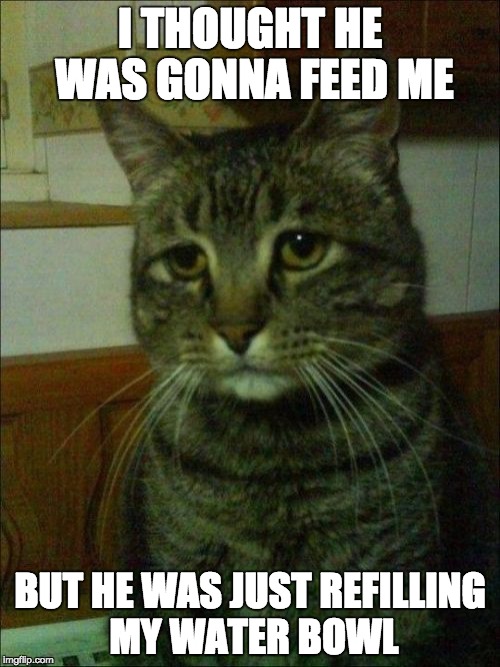 Depressed Cat Meme | I THOUGHT HE WAS GONNA FEED ME BUT HE WAS JUST REFILLING MY WATER BOWL | image tagged in memes,depressed cat | made w/ Imgflip meme maker