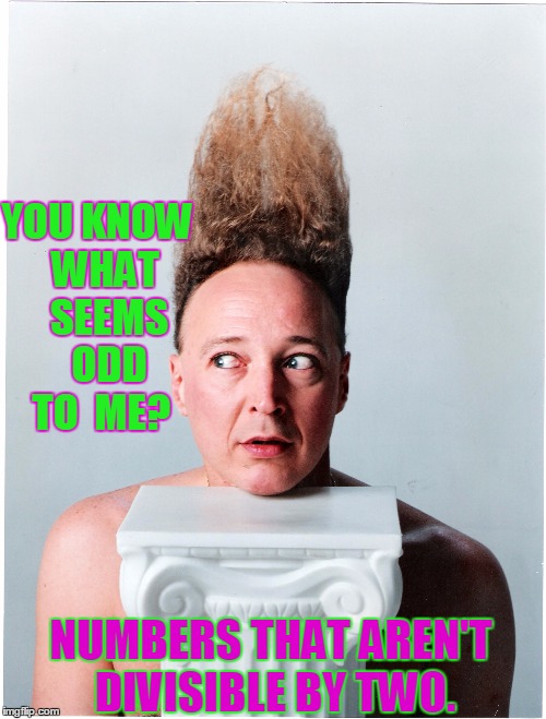 Things that Are Odd... | YOU KNOW  WHAT   SEEMS   ODD TO  ME? NUMBERS THAT AREN'T DIVISIBLE BY TWO. | image tagged in odd,even,vince vance,tall hair | made w/ Imgflip meme maker