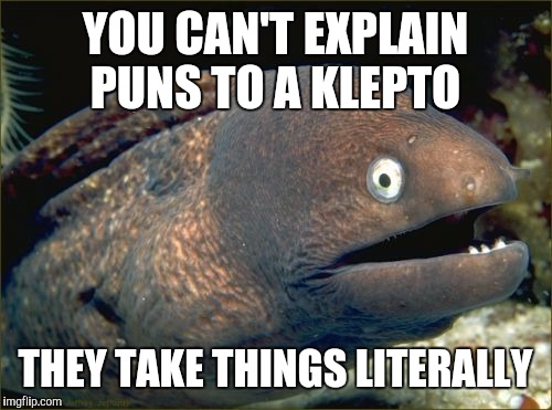 Bad Joke Eel | YOU CAN'T EXPLAIN PUNS TO A KLEPTO THEY TAKE THINGS LITERALLY | image tagged in memes,bad joke eel | made w/ Imgflip meme maker