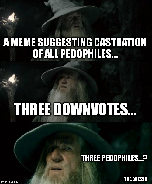 Confused Gandalf Meme | A MEME SUGGESTING CASTRATION OF ALL PEDOPHILES... THREE DOWNVOTES... THREE PEDOPHILES...? THE.GRIZZ15 | image tagged in memes,confused gandalf | made w/ Imgflip meme maker
