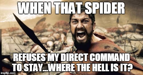 Sparta Leonidas | WHEN THAT SPIDER REFUSES MY DIRECT COMMAND TO STAY...WHERE THE HELL IS IT? | image tagged in memes,sparta leonidas | made w/ Imgflip meme maker