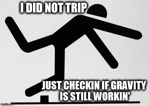 tripping stick | I DID NOT TRIP JUST CHECKIN IF GRAVITY IS STILL WORKIN' | image tagged in tripping stick | made w/ Imgflip meme maker