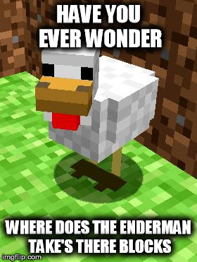 Minecraft Chicken ask: | HAVE YOU EVER WONDER WHERE DOES THE ENDERMAN TAKE'S THERE BLOCKS | image tagged in minecraft advice chicken,what | made w/ Imgflip meme maker