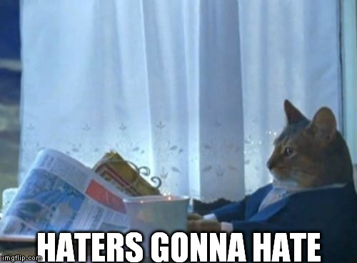 hatred realizations | HATERS GONNA HATE | image tagged in memes,i should buy a boat cat,haters gonna hate | made w/ Imgflip meme maker