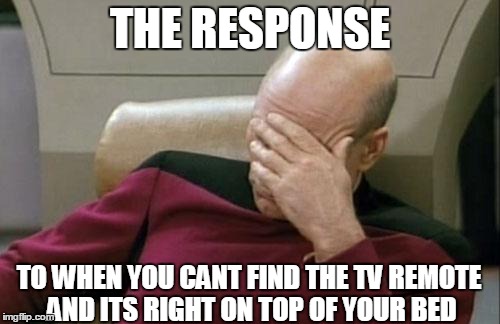 Captain Picard Facepalm | THE RESPONSE TO WHEN YOU CANT FIND THE TV REMOTE AND ITS RIGHT ON TOP OF YOUR BED | image tagged in memes,captain picard facepalm | made w/ Imgflip meme maker