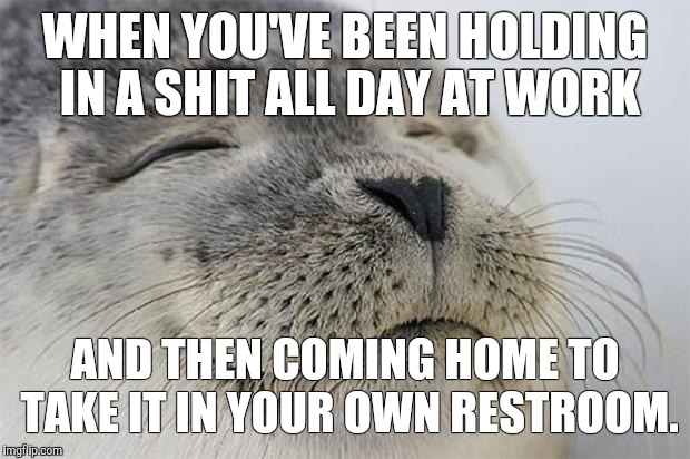 Satisfied Seal Meme | WHEN YOU'VE BEEN HOLDING IN A SHIT ALL DAY AT WORK AND THEN COMING HOME TO TAKE IT IN YOUR OWN RESTROOM. | image tagged in memes,satisfied seal | made w/ Imgflip meme maker