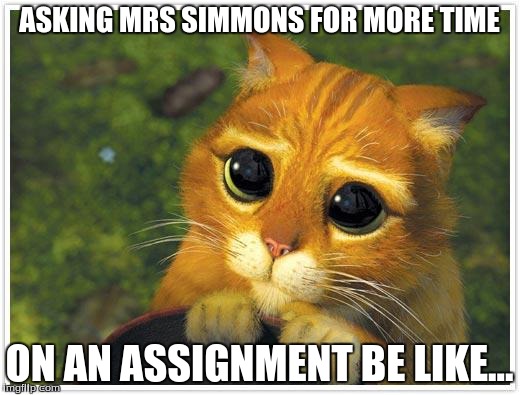 Shrek Cat | ASKING MRS SIMMONS FOR MORE TIME ON AN ASSIGNMENT BE LIKE... | image tagged in memes,shrek cat | made w/ Imgflip meme maker