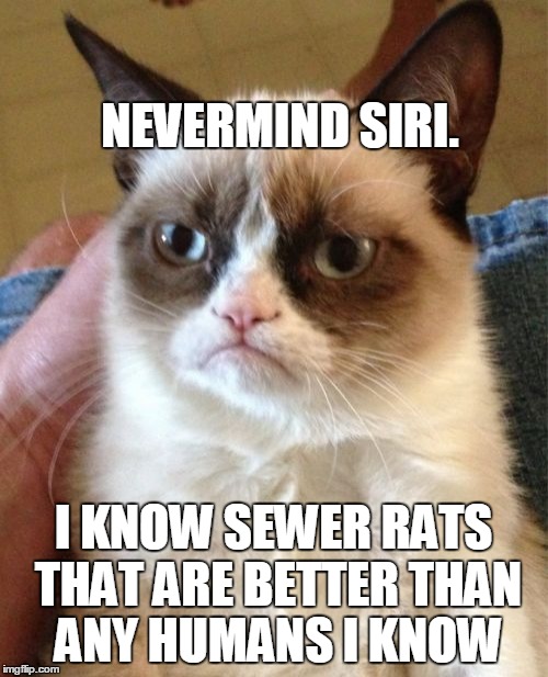 Grumpy Cat Meme | NEVERMIND SIRI. I KNOW SEWER RATS THAT ARE BETTER THAN ANY HUMANS I KNOW | image tagged in memes,grumpy cat | made w/ Imgflip meme maker