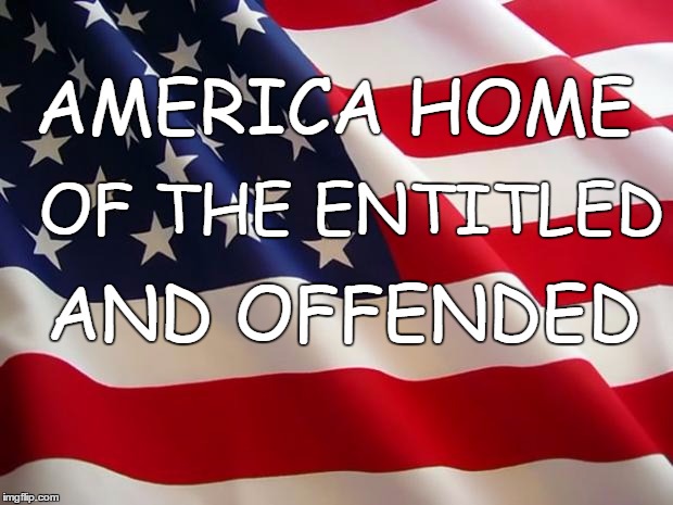 American flag | AMERICA HOME AND OFFENDED OF THE ENTITLED | image tagged in american flag | made w/ Imgflip meme maker