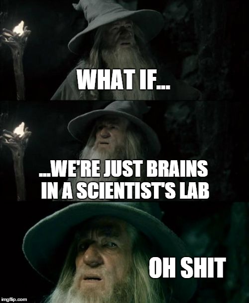 Confused Gandalf Meme | WHAT IF... ...WE'RE JUST BRAINS IN A SCIENTIST'S LAB OH SHIT | image tagged in memes,confused gandalf | made w/ Imgflip meme maker