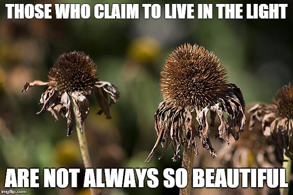 THOSE WHO CLAIM TO LIVE IN THE LIGHT ARE NOT ALWAYS SO BEAUTIFUL | image tagged in light,beautiful | made w/ Imgflip meme maker