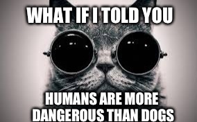 WHAT IF I TOLD YOU HUMANS ARE MORE DANGEROUS THAN DOGS | image tagged in cat morpheus | made w/ Imgflip meme maker