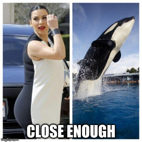 image tagged in funny,close enough,photography | made w/ Imgflip meme maker