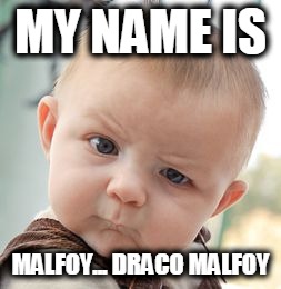 Skeptical Baby Meme | MY NAME IS MALFOY... DRACO MALFOY | image tagged in memes,skeptical baby | made w/ Imgflip meme maker