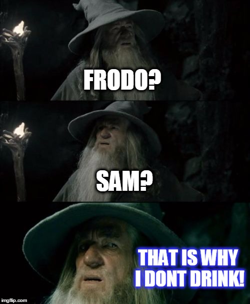 Confused Gandalf Meme | FRODO? SAM? THAT IS WHY I DONT DRINK! | image tagged in memes,confused gandalf | made w/ Imgflip meme maker