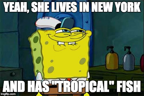 Don't You Squidward Meme | YEAH, SHE LIVES IN NEW YORK AND HAS "TROPICAL" FISH | image tagged in memes,dont you squidward | made w/ Imgflip meme maker