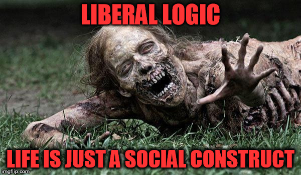 Walking Dead Zombie | LIBERAL LOGIC LIFE IS JUST A SOCIAL CONSTRUCT | image tagged in walking dead zombie | made w/ Imgflip meme maker