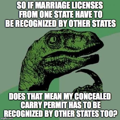 Philosoraptor Meme | SO IF MARRIAGE LICENSES FROM ONE STATE HAVE TO BE RECOGNIZED BY OTHER STATES DOES THAT MEAN MY CONCEALED CARRY PERMIT HAS TO BE RECOGNIZED B | image tagged in memes,philosoraptor | made w/ Imgflip meme maker