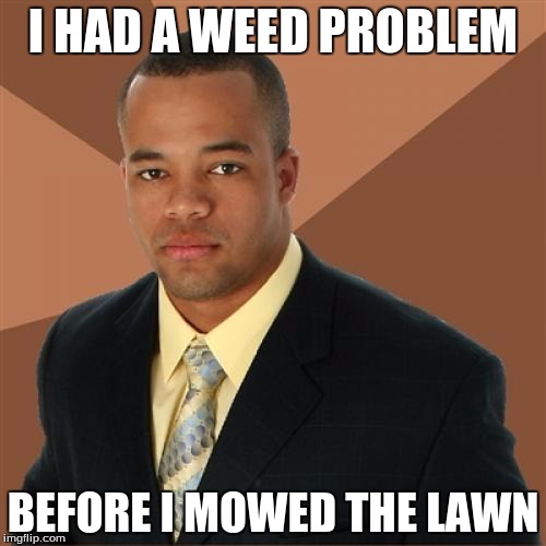 Successful Black Man | I HAD A WEED PROBLEM BEFORE I MOWED THE LAWN | image tagged in memes,successful black man | made w/ Imgflip meme maker