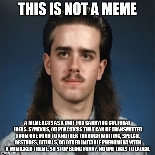 THIS IS NOT A MEME A MEME ACTS AS A UNIT FOR CARRYING CULTURAL IDEAS, SYMBOLS, OR PRACTICES THAT CAN BE TRANSMITTED FROM ONE MIND TO ANOTHER | image tagged in not a meme | made w/ Imgflip meme maker