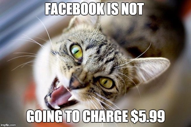5.99 | FACEBOOK IS NOT GOING TO CHARGE $5.99 | image tagged in facebook | made w/ Imgflip meme maker