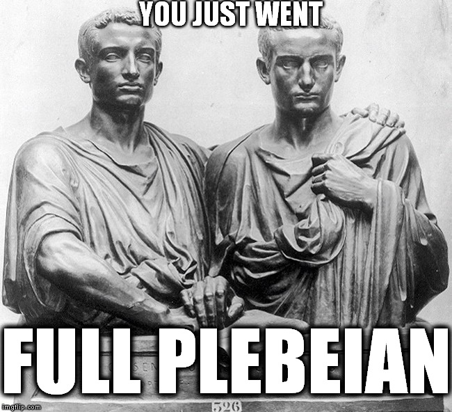 Gracchi brothers | YOU JUST WENT FULL PLEBEIAN | image tagged in gracchi brothers | made w/ Imgflip meme maker