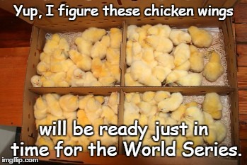 World Series | Yup, I figure these chicken wings will be ready just in time for the World Series. | image tagged in little chicks | made w/ Imgflip meme maker