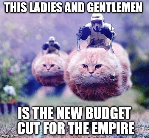 Storm Trooper Cats | THIS LADIES AND GENTLEMEN IS THE NEW BUDGET CUT FOR THE EMPIRE | image tagged in storm trooper cats | made w/ Imgflip meme maker