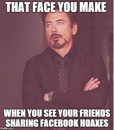 Face You Make Robert Downey Jr Meme | THAT FACE YOU MAKE WHEN YOU SEE YOUR FRIENDS SHARING FACEBOOK HOAXES | image tagged in memes,face you make robert downey jr | made w/ Imgflip meme maker