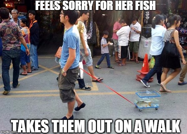 FEELS SORRY FOR HER FISH TAKES THEM OUT ON A WALK | made w/ Imgflip meme maker