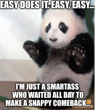 EASY DOES IT. EASY, EASY... I'M JUST A SMARTASS WHO WAITED ALL DAY TO MAKE A SNAPPY COMEBACK... | made w/ Imgflip meme maker