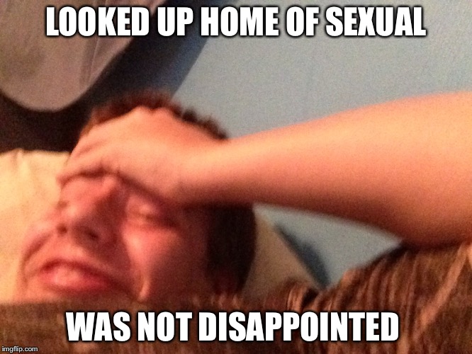 LOOKED UP HOME OF SEXUAL WAS NOT DISAPPOINTED | made w/ Imgflip meme maker