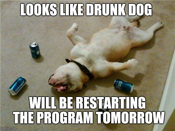 drunk dog | LOOKS LIKE DRUNK DOG WILL BE RESTARTING THE PROGRAM TOMORROW | image tagged in drunk dog | made w/ Imgflip meme maker