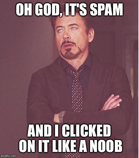 Face You Make Robert Downey Jr Meme | OH GOD, IT'S SPAM AND I CLICKED ON IT LIKE A NOOB | image tagged in memes,face you make robert downey jr | made w/ Imgflip meme maker