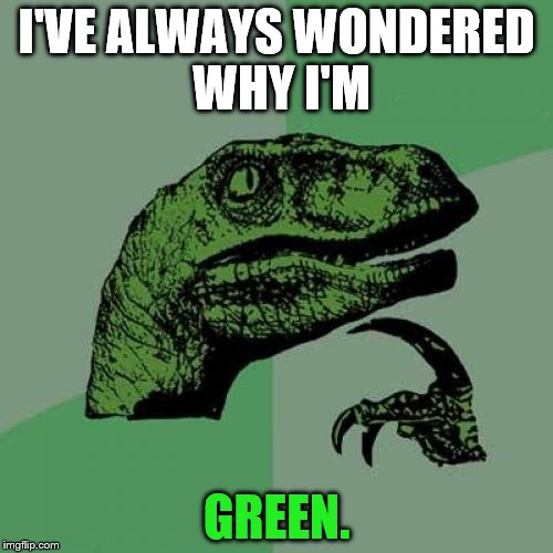 Philosoraptor Meme | I'VE ALWAYS WONDERED WHY I'M GREEN. | image tagged in memes,philosoraptor | made w/ Imgflip meme maker