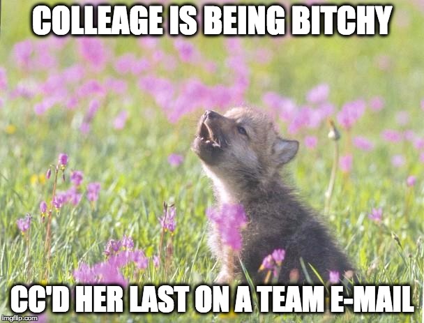Baby Insanity Wolf Meme | COLLEAGE IS BEING B**CHY CC'D HER LAST ON A TEAM E-MAIL | image tagged in memes,baby insanity wolf,AdviceAnimals | made w/ Imgflip meme maker