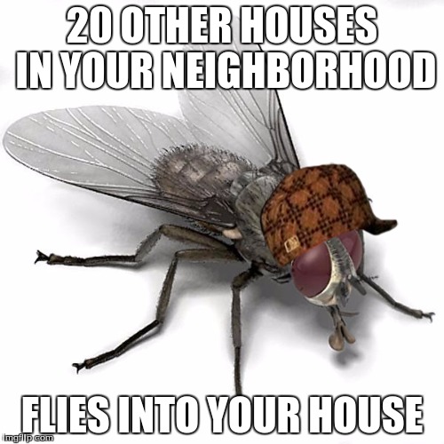 Dang Flies | 20 OTHER HOUSES IN YOUR NEIGHBORHOOD FLIES INTO YOUR HOUSE | image tagged in scumbag house fly,scumbag | made w/ Imgflip meme maker
