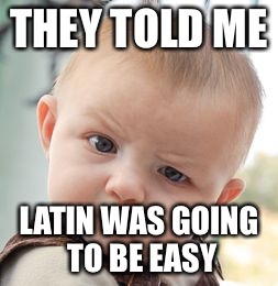 Skeptical Baby Meme | THEY TOLD ME LATIN WAS GOING TO BE EASY | image tagged in memes,skeptical baby | made w/ Imgflip meme maker