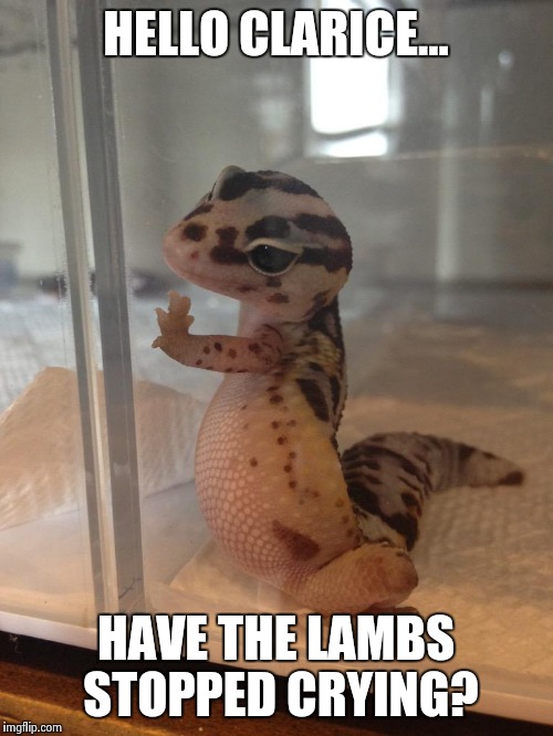 Photogenic Lizard  | HELLO CLARICE... HAVE THE LAMBS STOPPED CRYING? | image tagged in photogenic lizard  | made w/ Imgflip meme maker