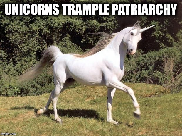 Unicorns | UNICORNS TRAMPLE PATRIARCHY | image tagged in unicorns | made w/ Imgflip meme maker