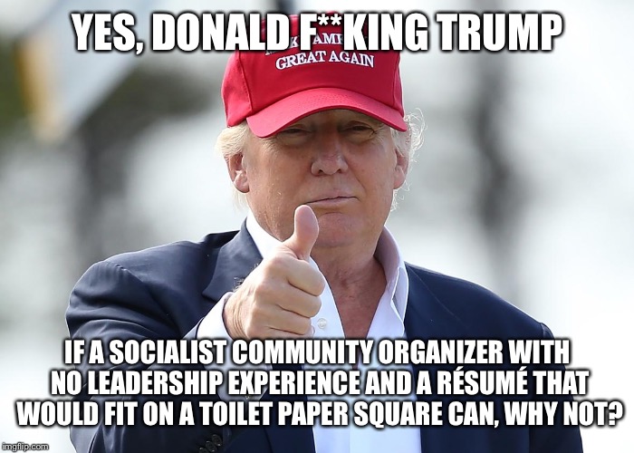 Yes, Donald Trump | YES, DONALD F**KING TRUMP IF A SOCIALIST COMMUNITY ORGANIZER WITH NO LEADERSHIP EXPERIENCE AND A RÉSUMÉ THAT WOULD FIT ON A TOILET PAPER SQU | image tagged in politics | made w/ Imgflip meme maker