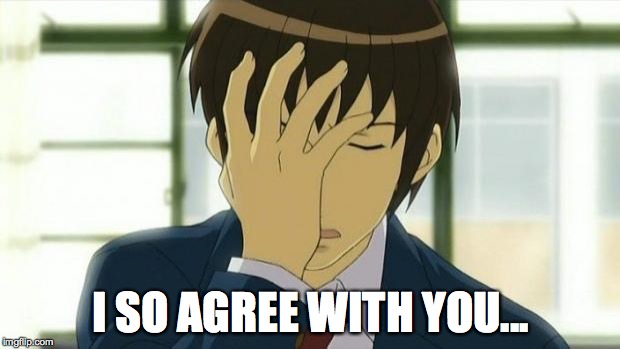 Kyon Facepalm Ver 2 | I SO AGREE WITH YOU... | image tagged in kyon facepalm ver 2 | made w/ Imgflip meme maker