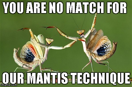 Praying Mantis Technique | YOU ARE NO MATCH FOR OUR MANTIS TECHNIQUE | image tagged in praying mantis technique | made w/ Imgflip meme maker