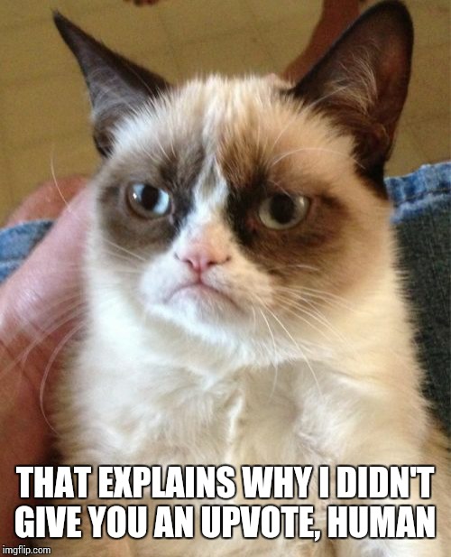 Grumpy Cat Meme | THAT EXPLAINS WHY I DIDN'T GIVE YOU AN UPVOTE, HUMAN | image tagged in memes,grumpy cat | made w/ Imgflip meme maker