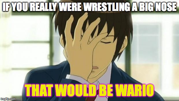 Kyon Facepalm Ver 2 | IF YOU REALLY WERE WRESTLING A BIG NOSE THAT WOULD BE WARIO | image tagged in kyon facepalm ver 2 | made w/ Imgflip meme maker