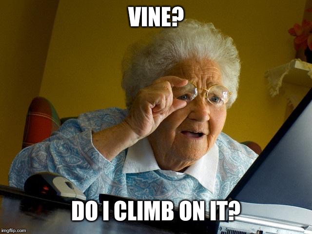 Grandma Finds The Internet | VINE? DO I CLIMB ON IT? | image tagged in memes,grandma finds the internet | made w/ Imgflip meme maker